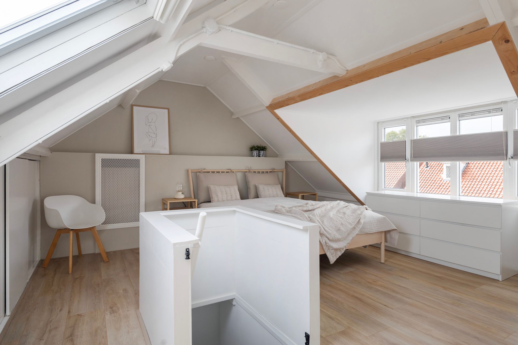 Photo 42 of Frederik Ruyschstraat 24