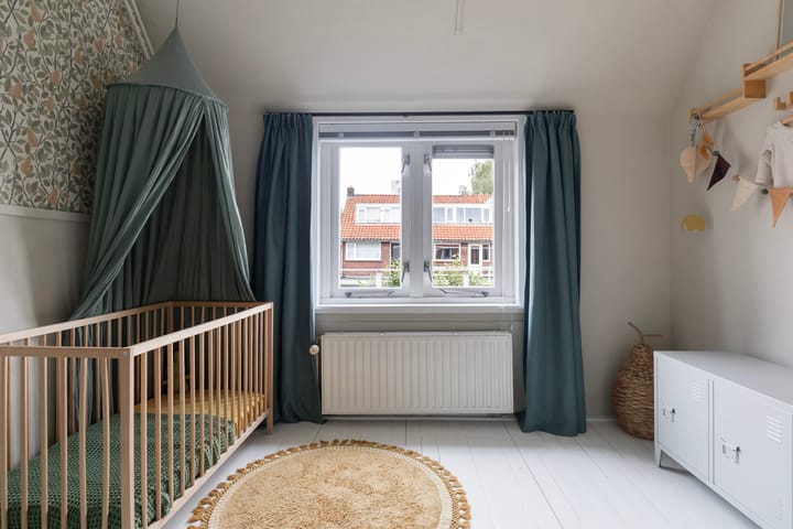 Photo 38 of Frederik Ruyschstraat 24