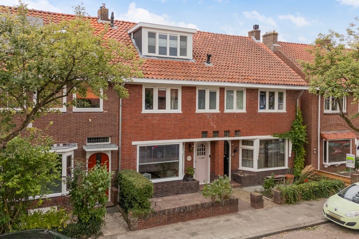 Photo 51 of Frederik Ruyschstraat 24