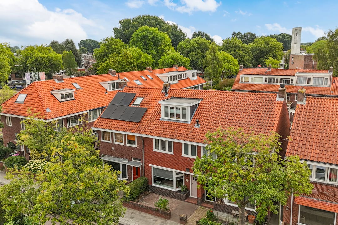 Photo 53 of Frederik Ruyschstraat 24