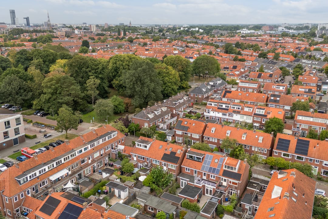 Photo 58 of Frederik Ruyschstraat 24