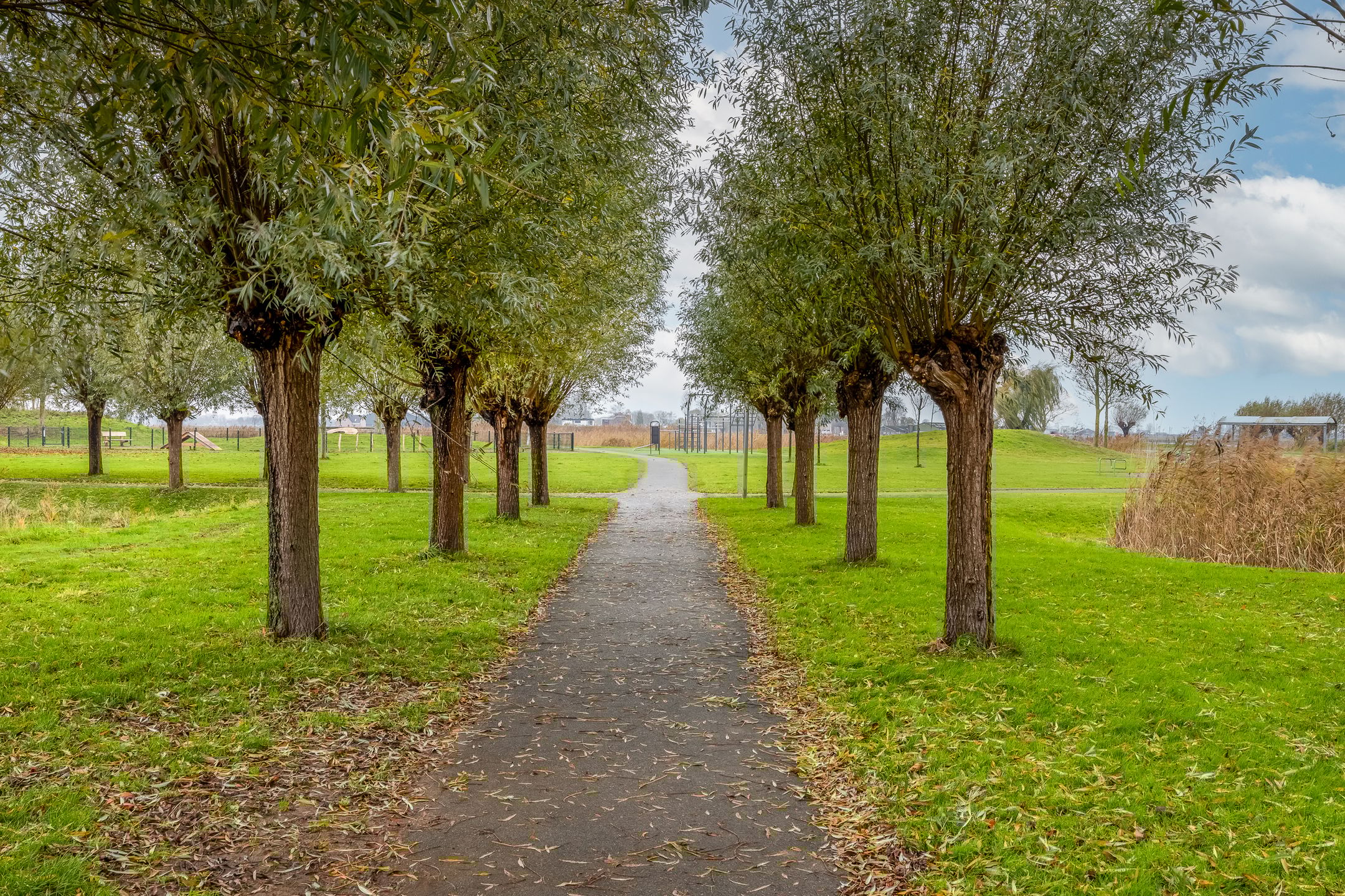 Foto 48 van Johannes Kolfstraat 6