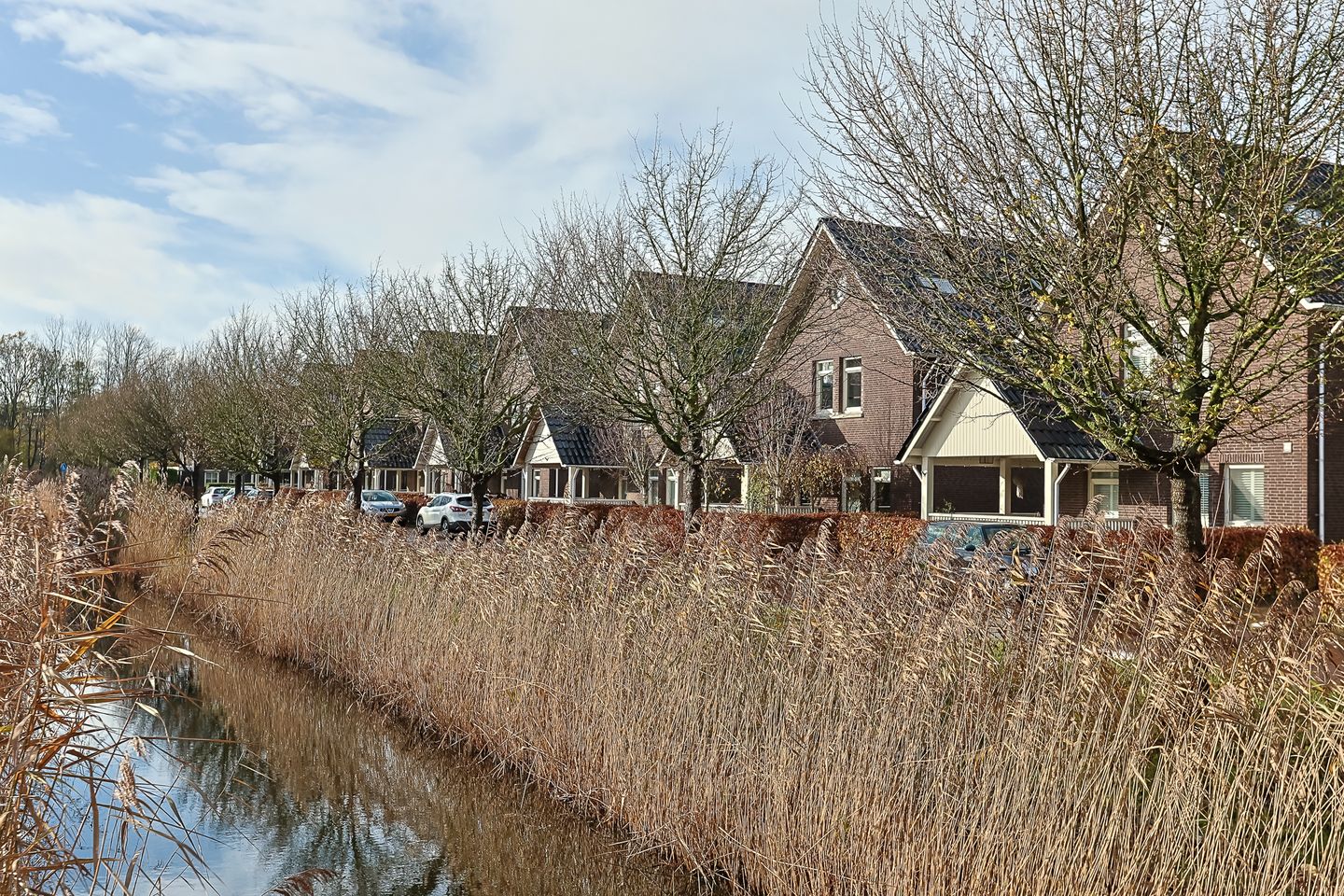 Photo 49 of De Zaalberg 11