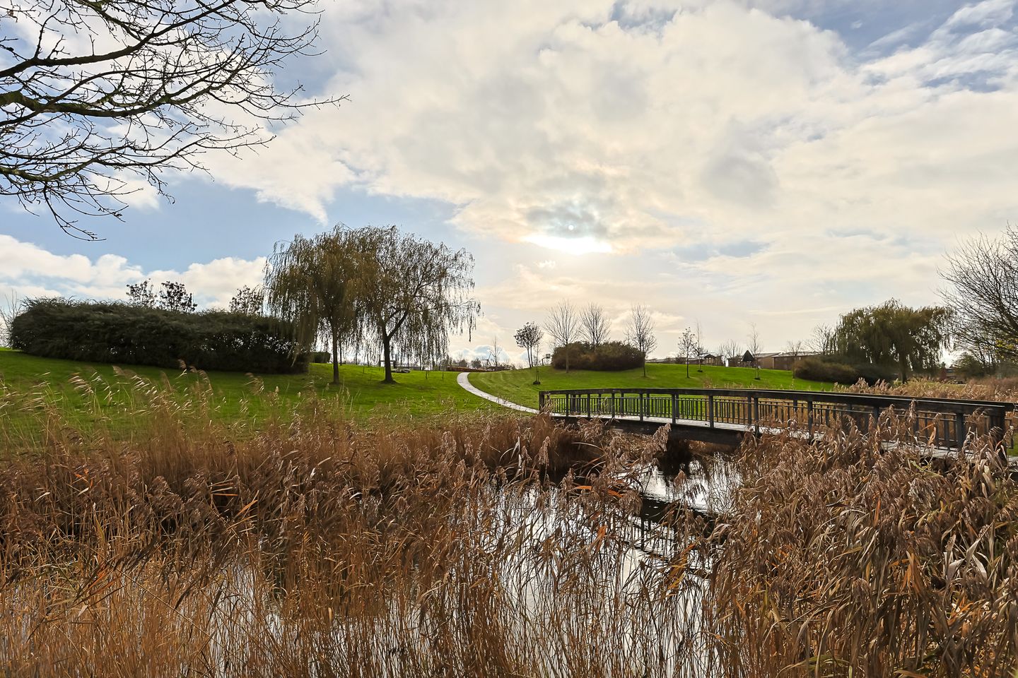 Photo 55 of De Zaalberg 11