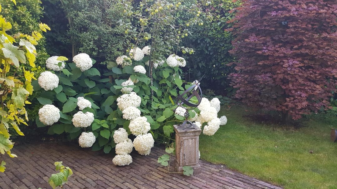 Photo 56 of De Zaalberg 11
