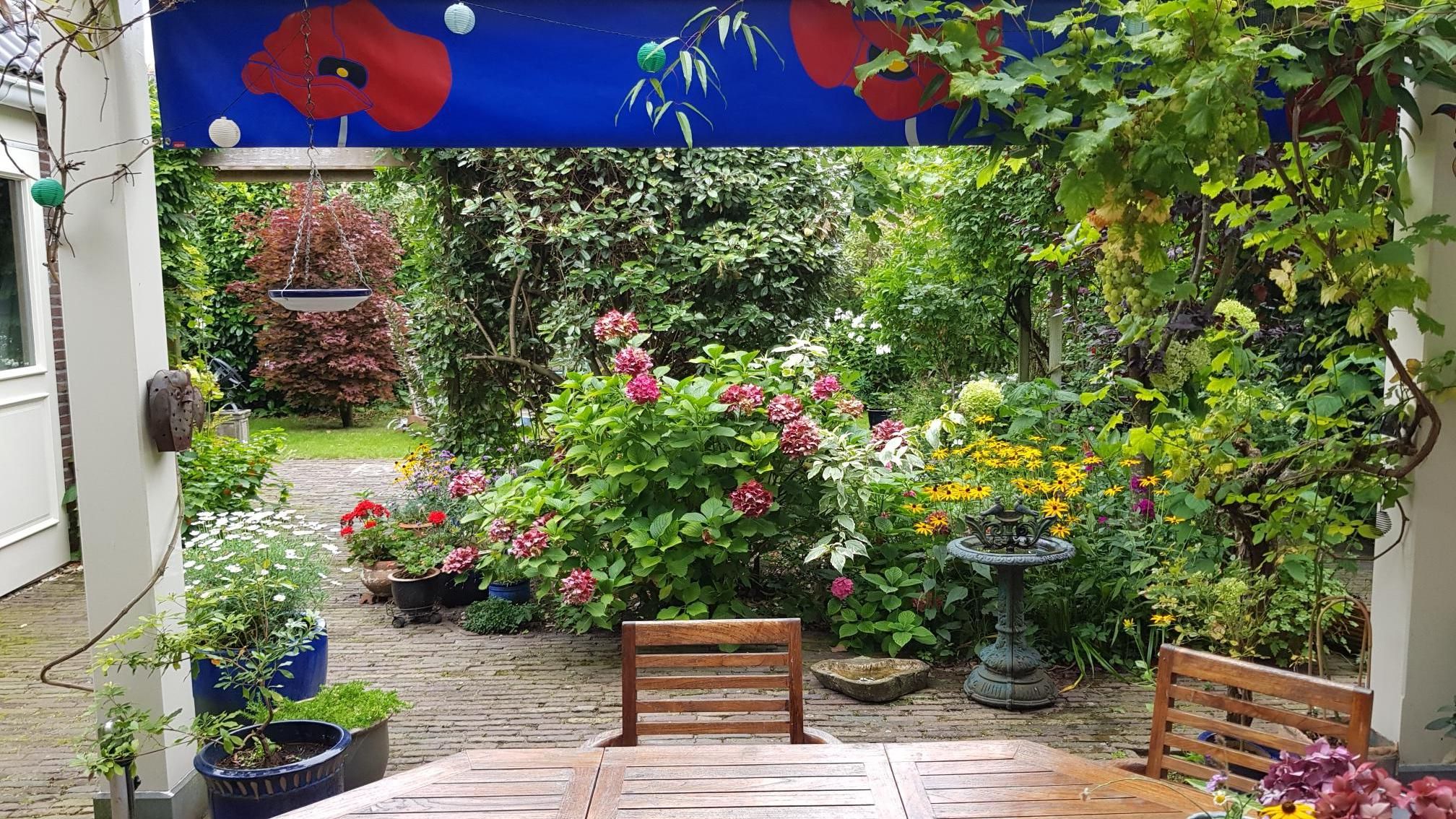 Photo 57 of De Zaalberg 11