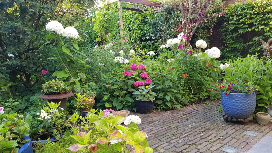 Photo 58 of De Zaalberg 11