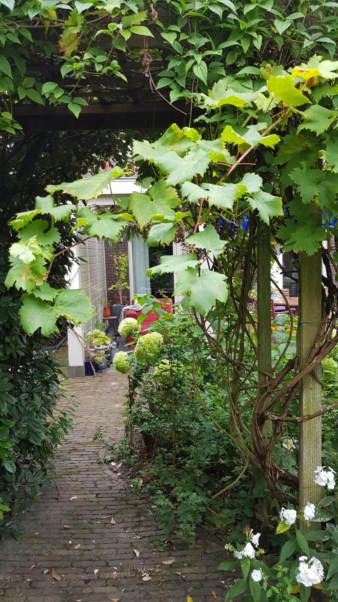 Photo 60 of De Zaalberg 11