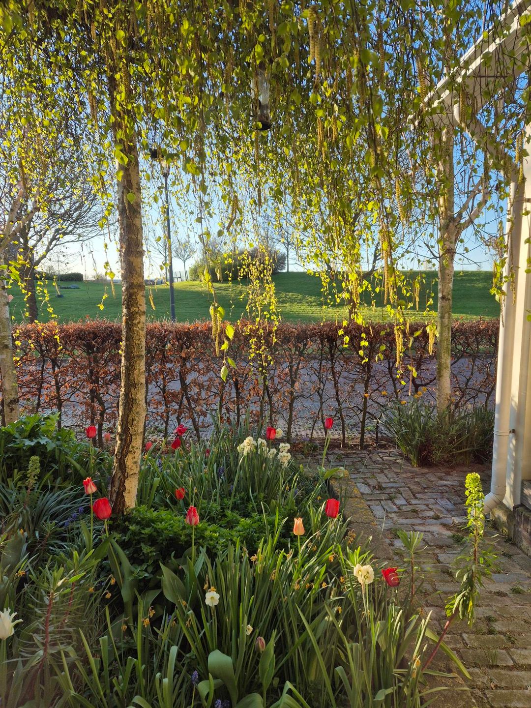 Photo 61 of De Zaalberg 11