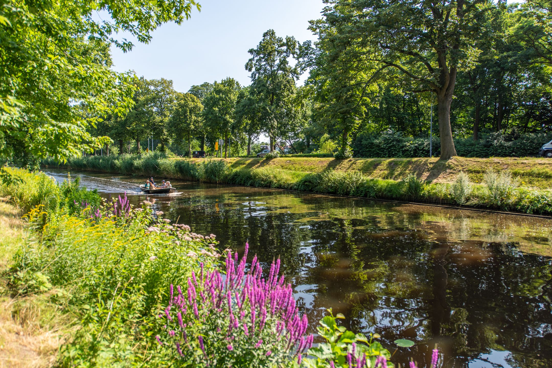 Photo 6 of Het Bolwerk 100