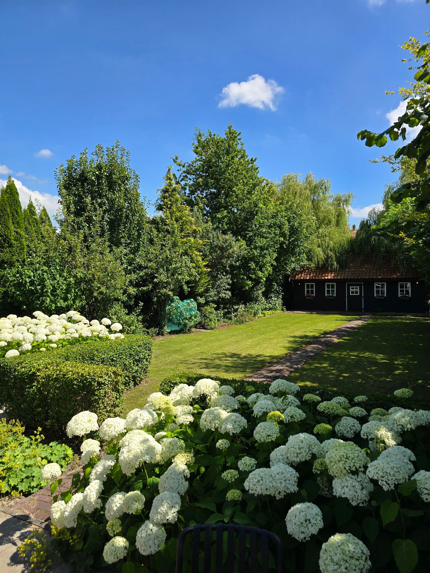 Foto 29 van Aalsmeerderweg 322