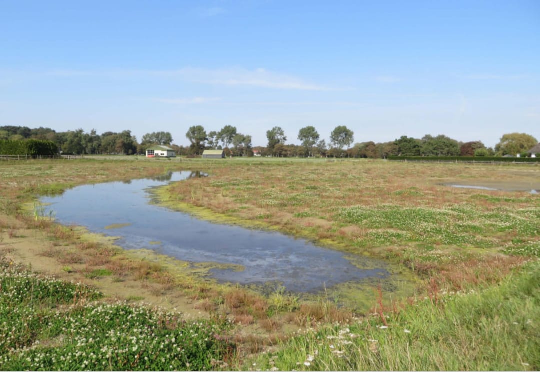 Foto 26 van Zanderijweg 15