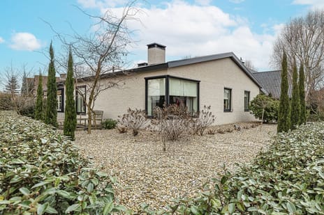 Berkenring thumbnail