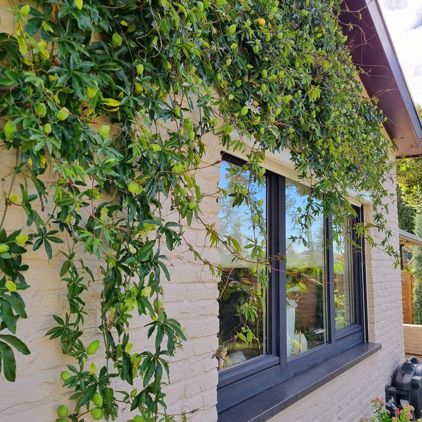 Foto 34 van Berkenring 86