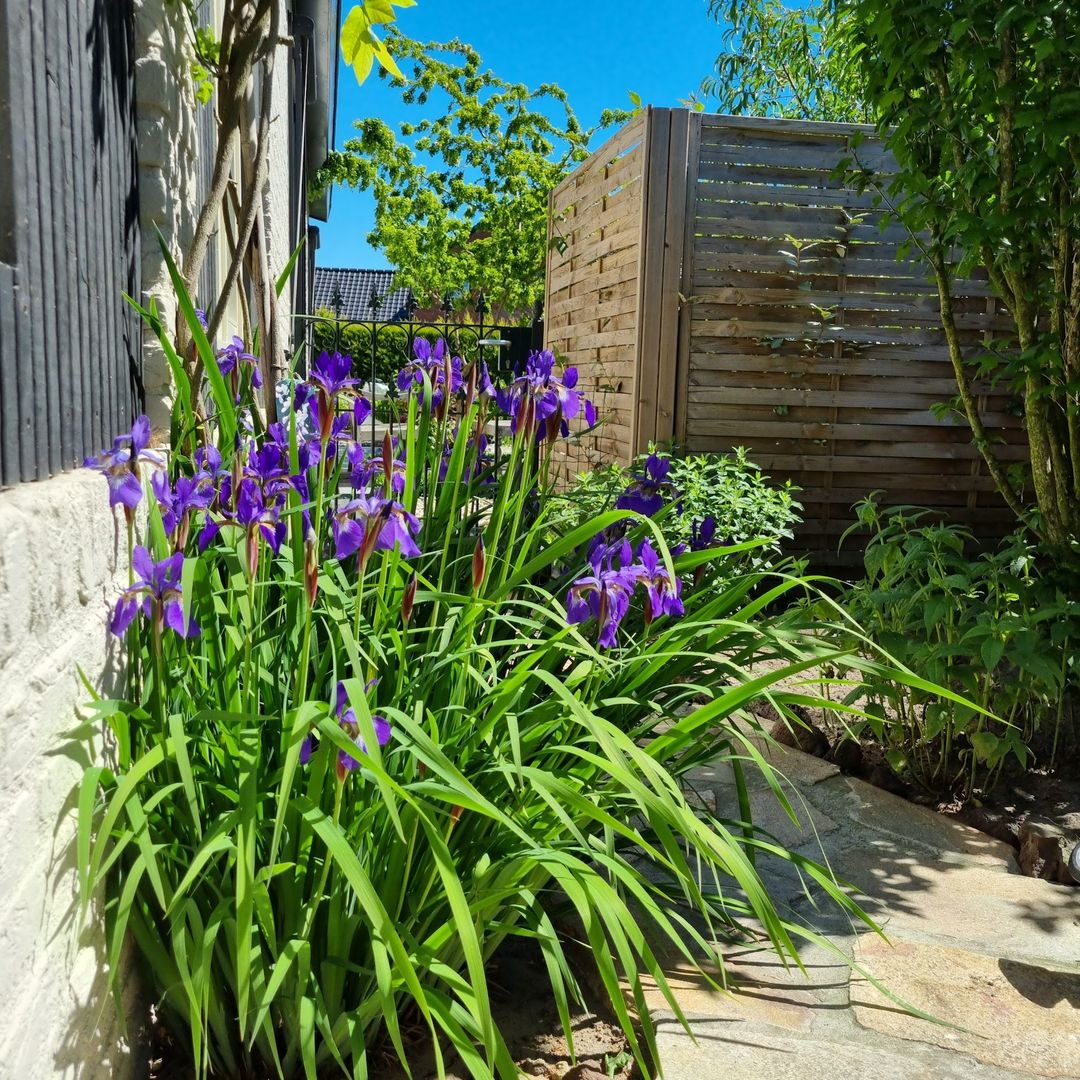 Foto 37 van Berkenring 86