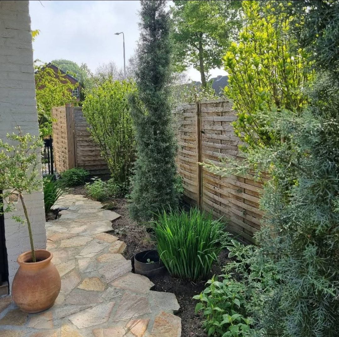 Foto 38 van Berkenring 86