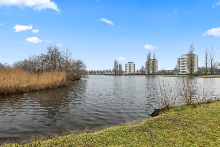 Foto 50 van De Beurs 7