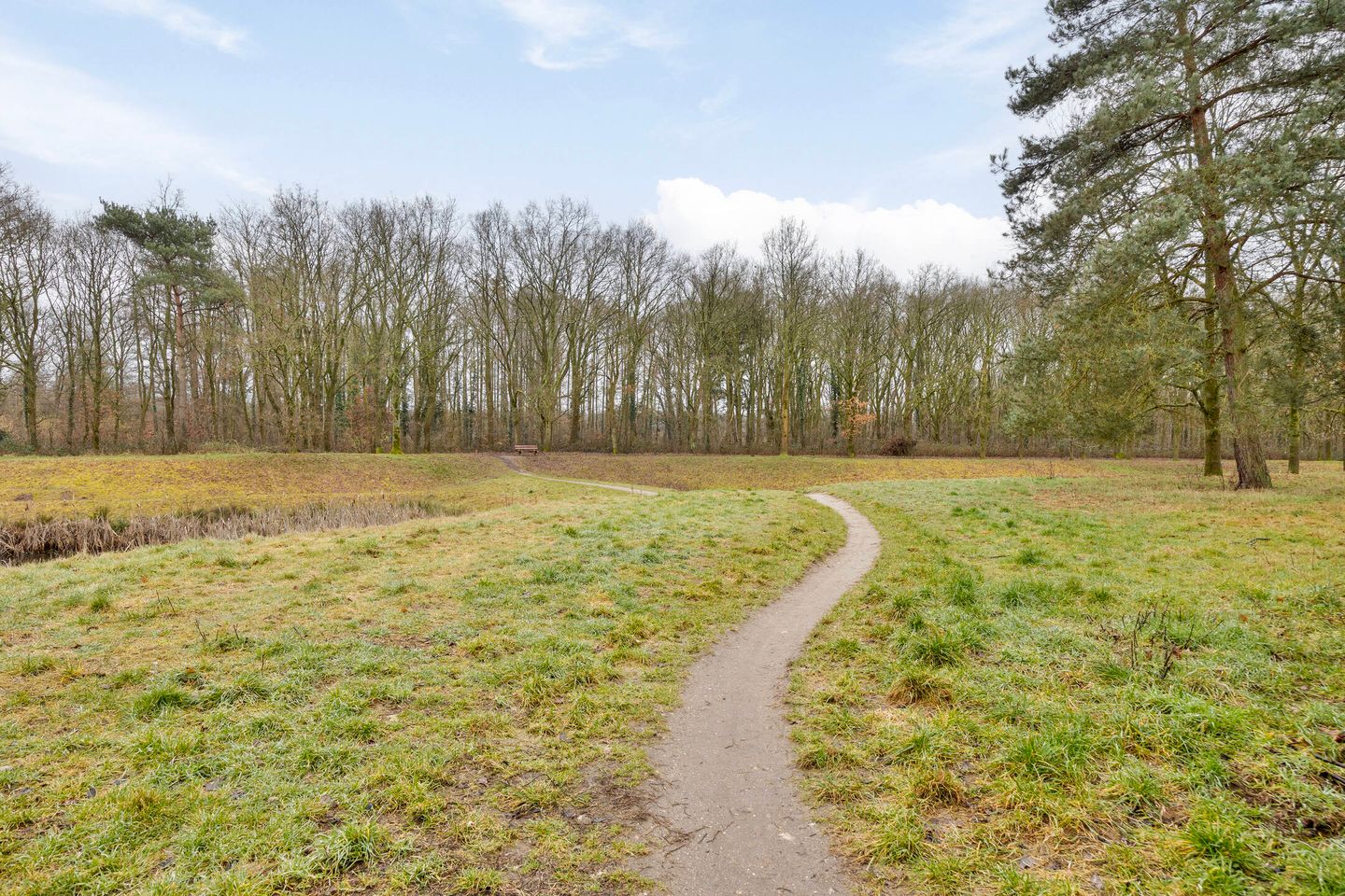 Photo 25 of De Kolk 62