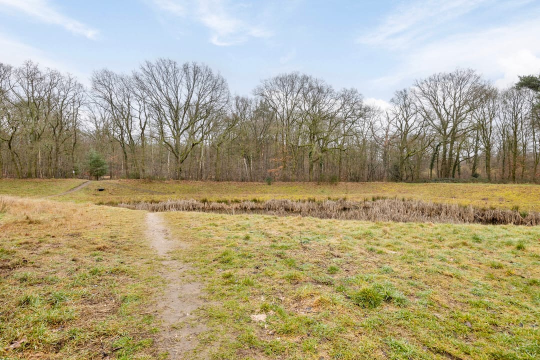 Photo 26 of De Kolk 62