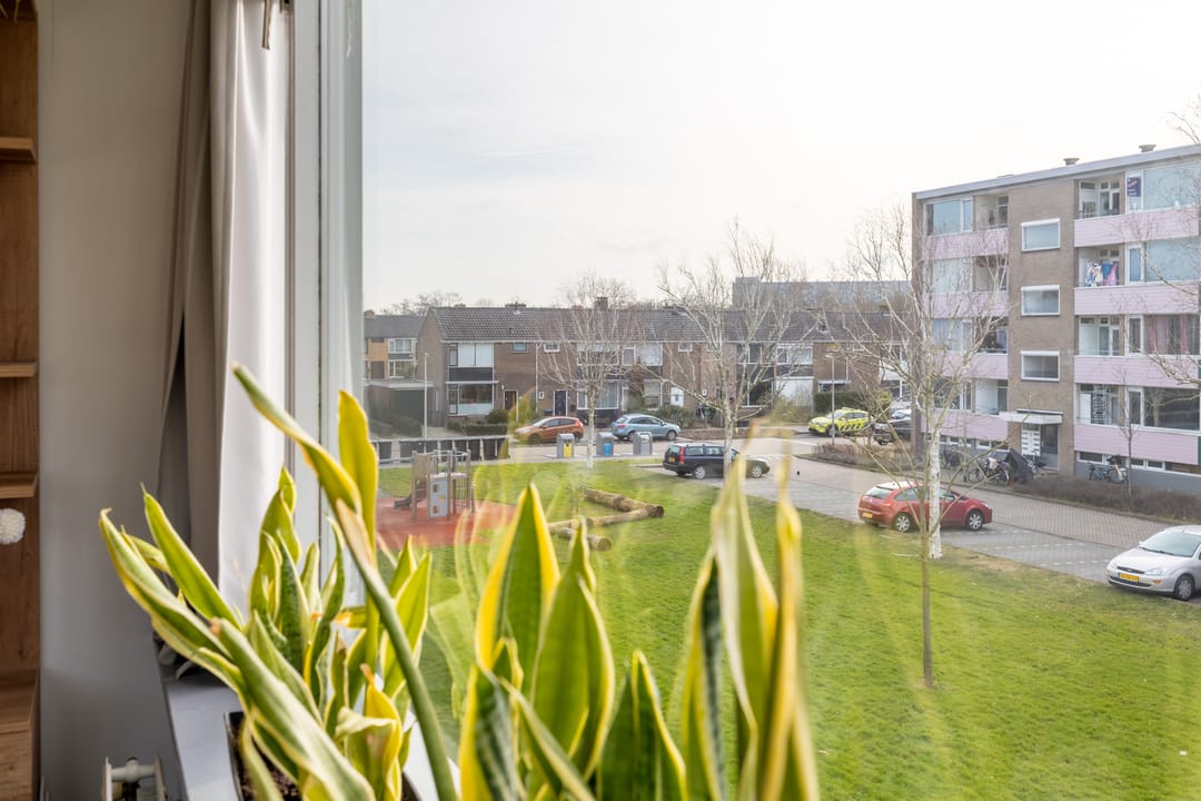 Foto 13 van Sportlaan 139