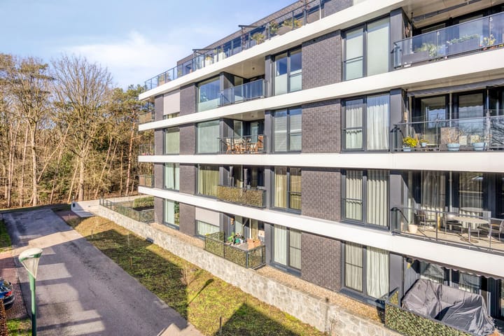 Foto 2 van Lisdodde 15-203