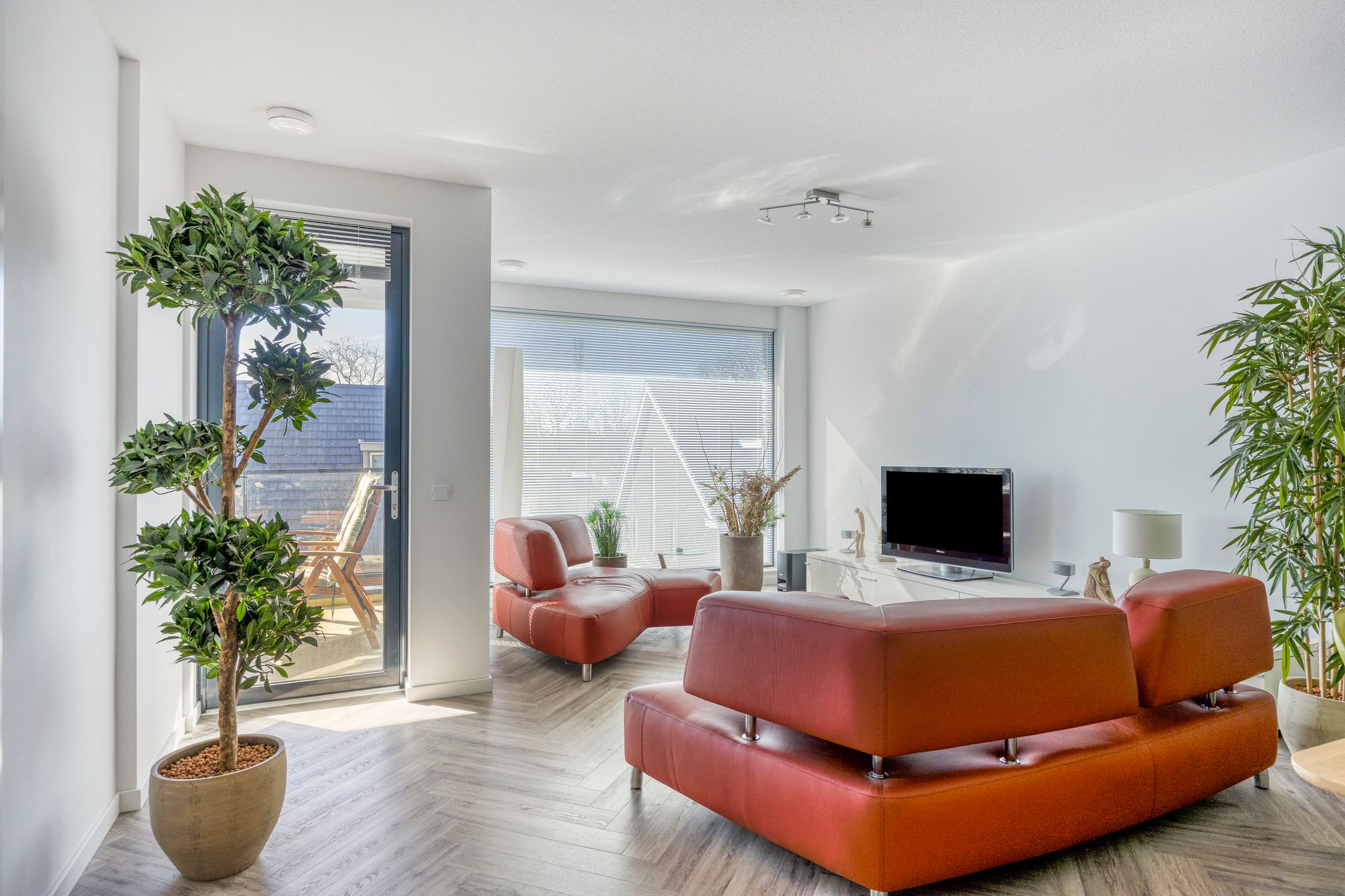 Foto 15 van Lisdodde 15-203