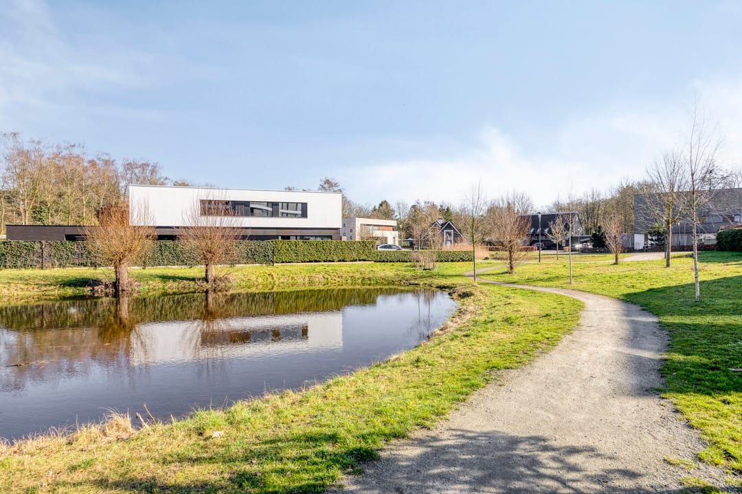 Foto 41 van Lisdodde 15-203