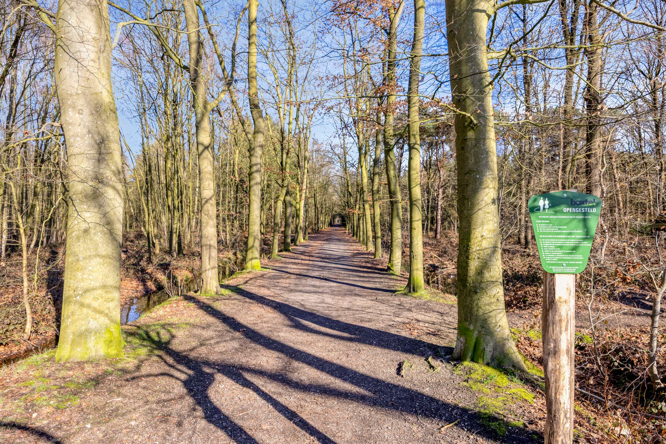 Foto 45 van Lisdodde 15-203