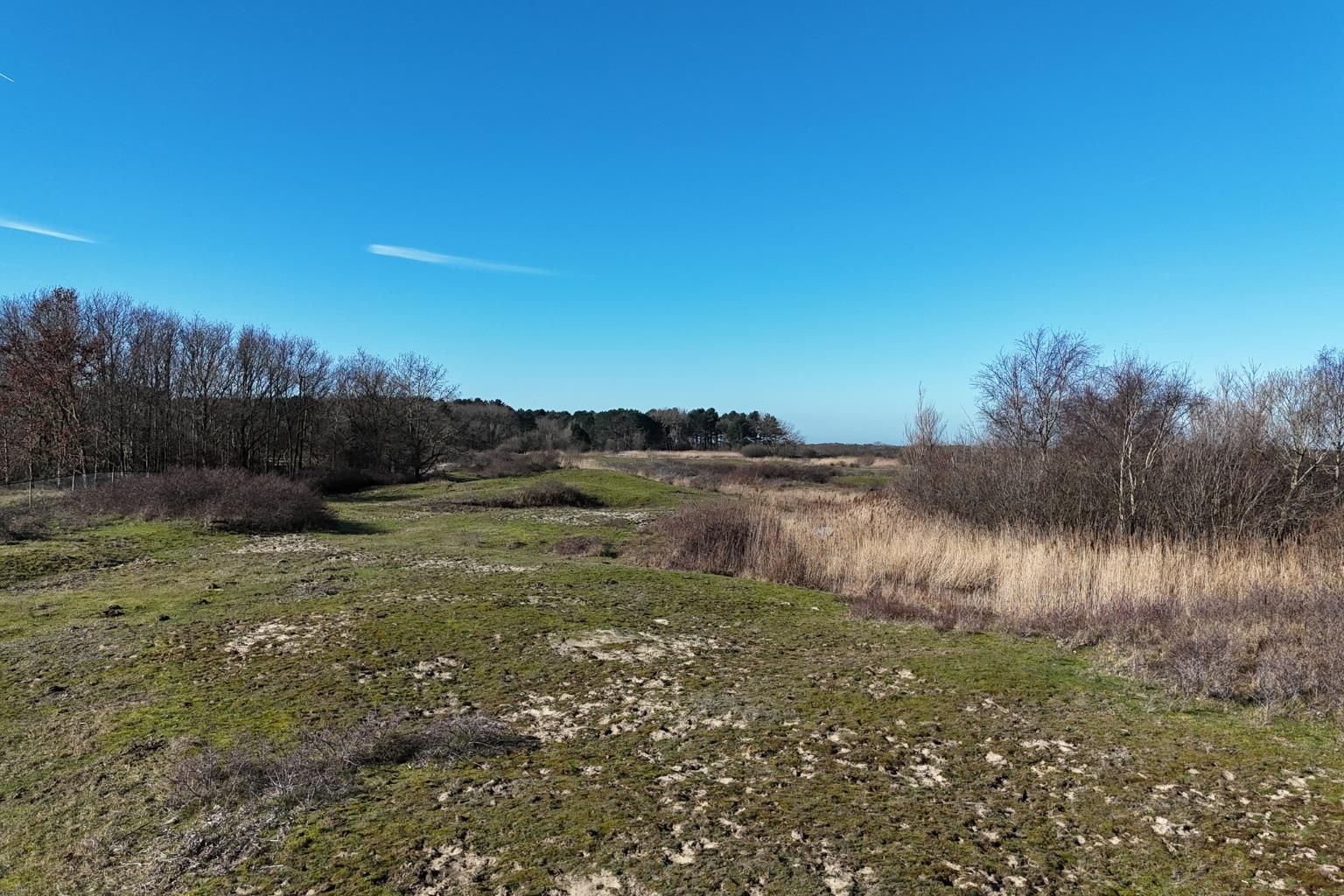 Foto 30 van Oostdijkseweg 49