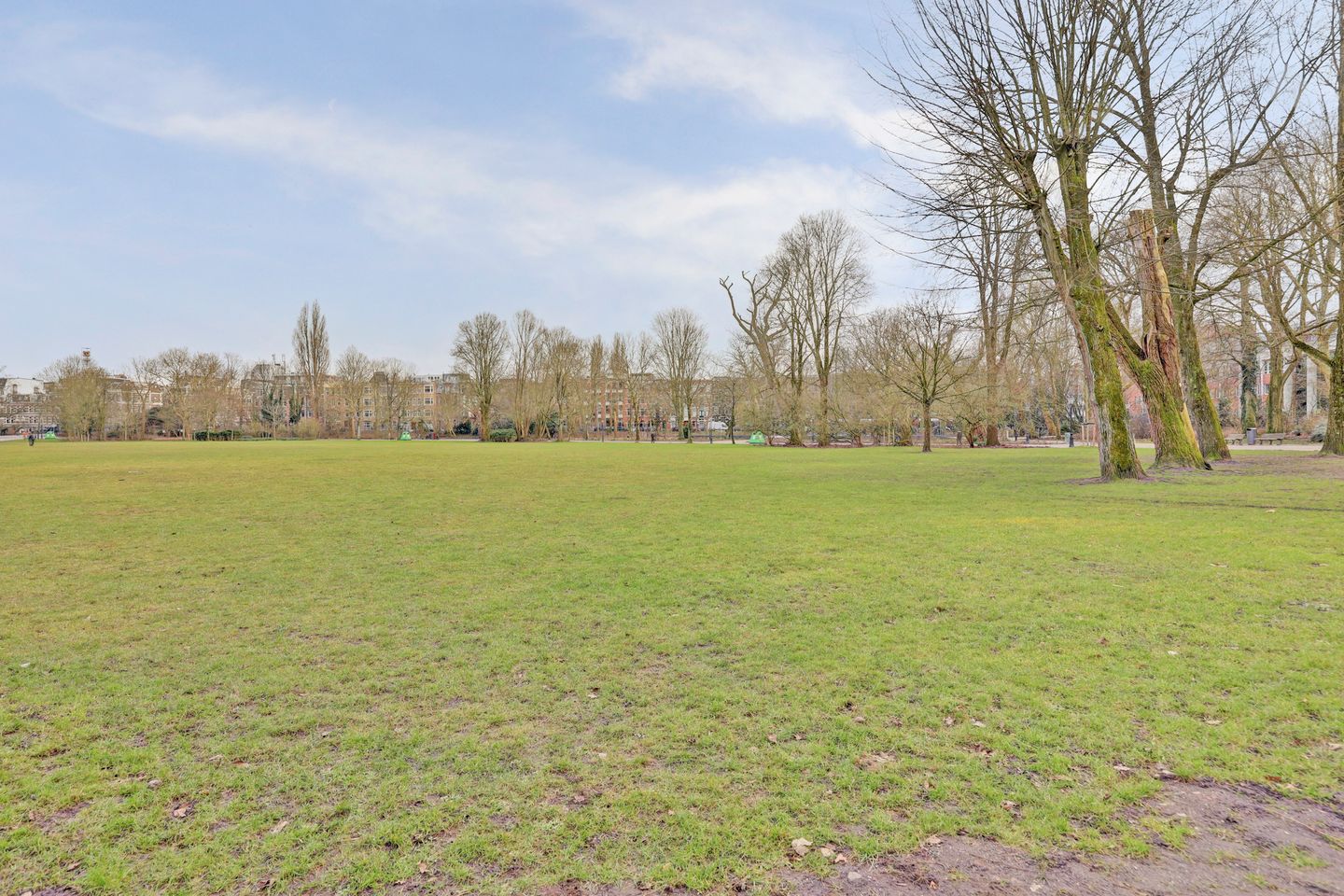 Foto 35 van Mary Zeldenruststraat 116