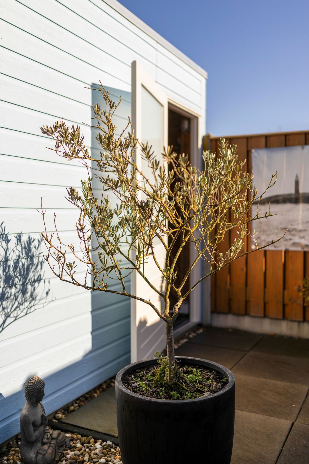 Foto 37 van Aloysiusplein 51