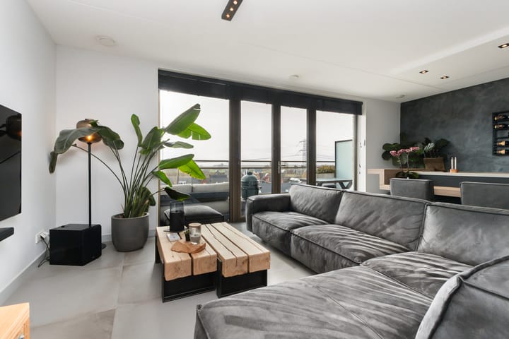 Photo 2 of Menagerie 79