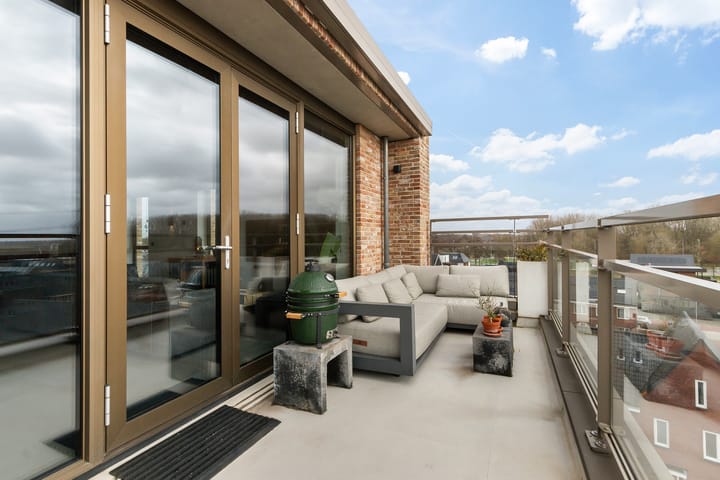 Photo 4 of Menagerie 79