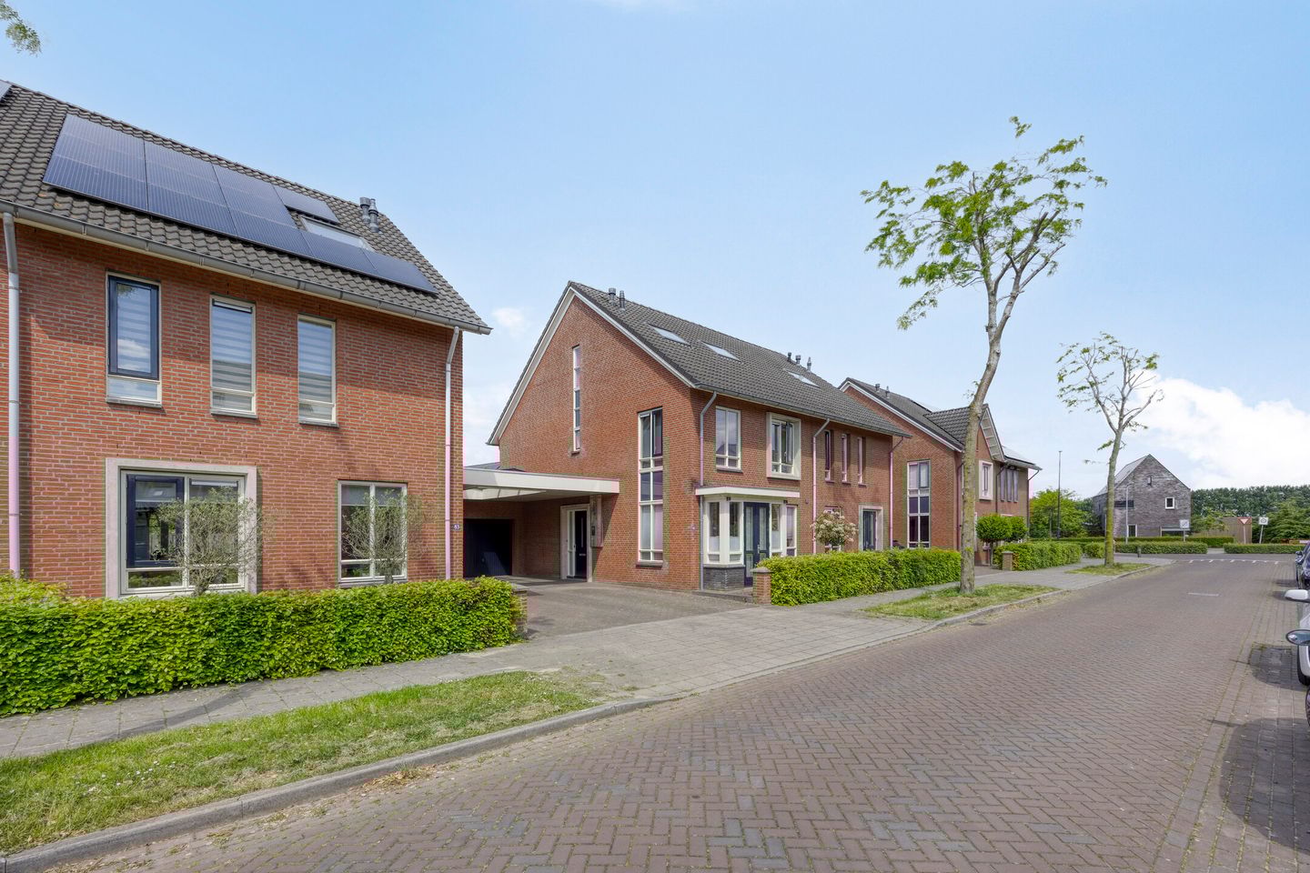 Photo 4 of Fortuna 83