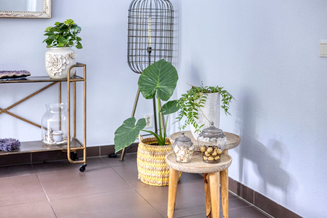 Photo 13 of Fortuna 83