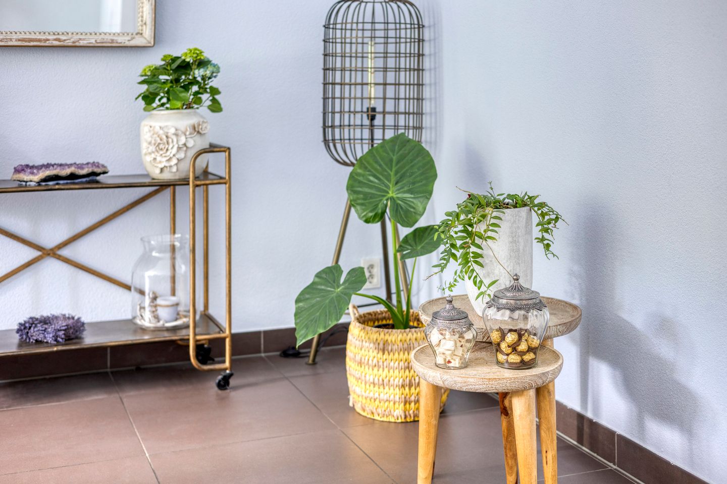 Photo 14 of Fortuna 83