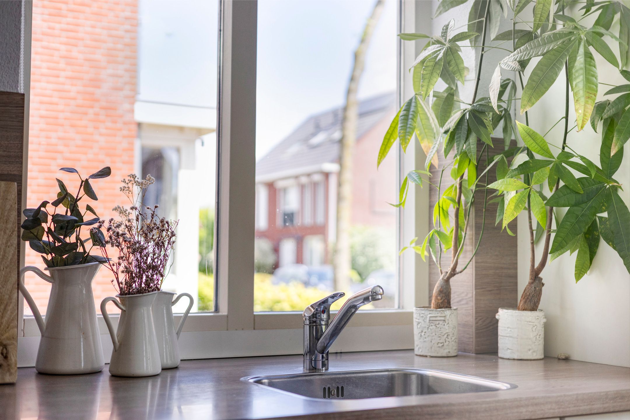 Photo 24 of Fortuna 83