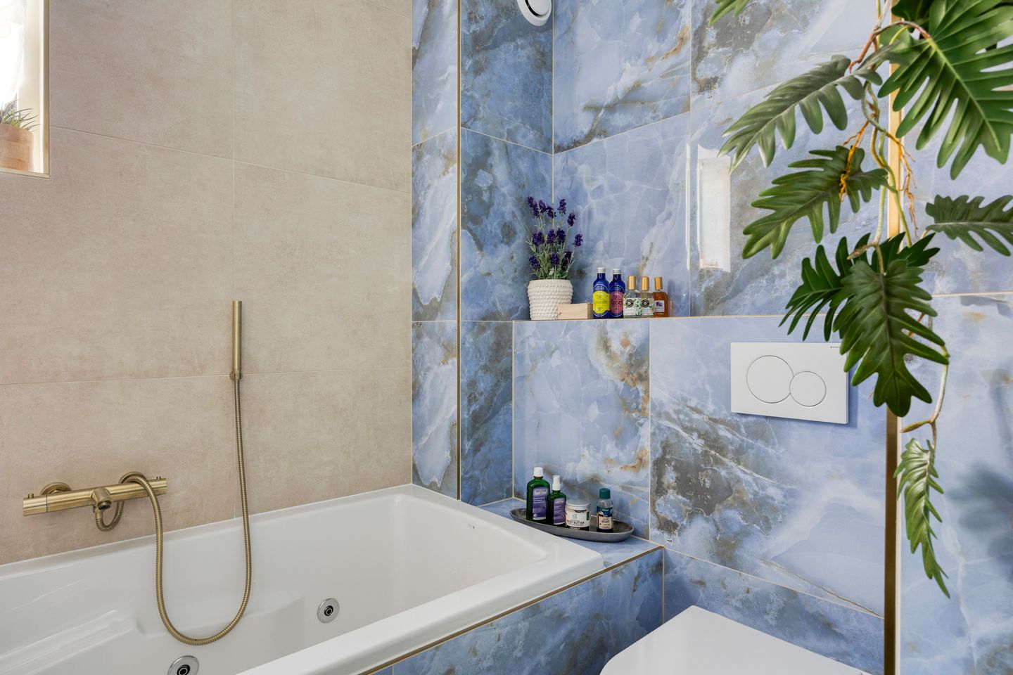 Photo 34 of Fortuna 83