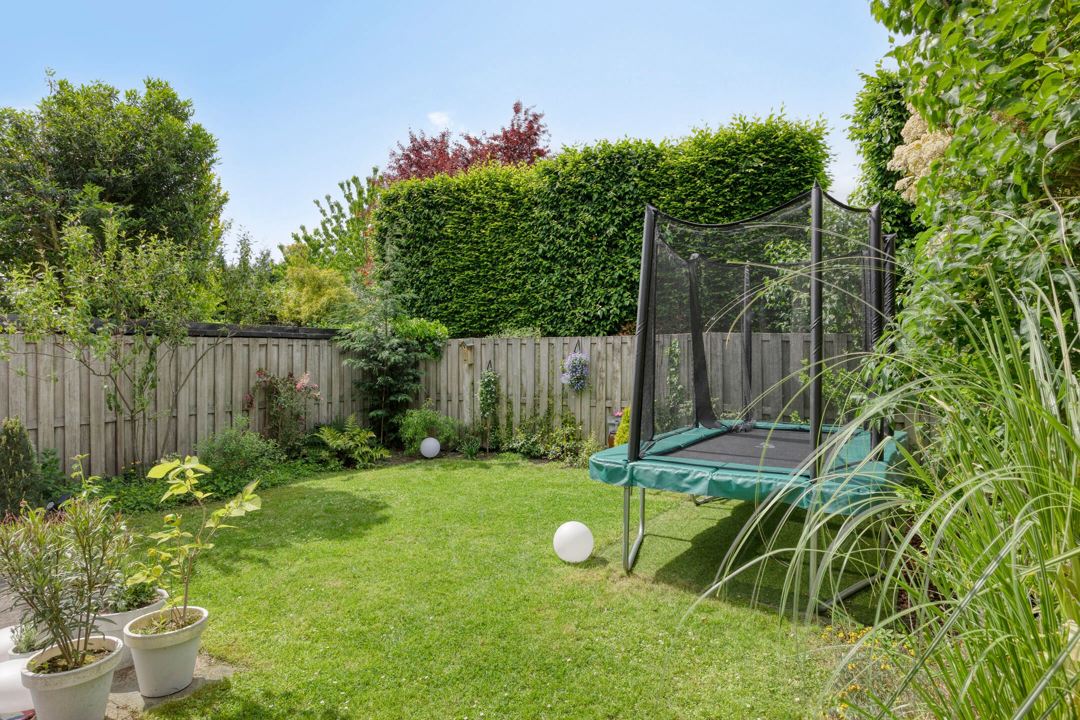 Photo 48 of Fortuna 83