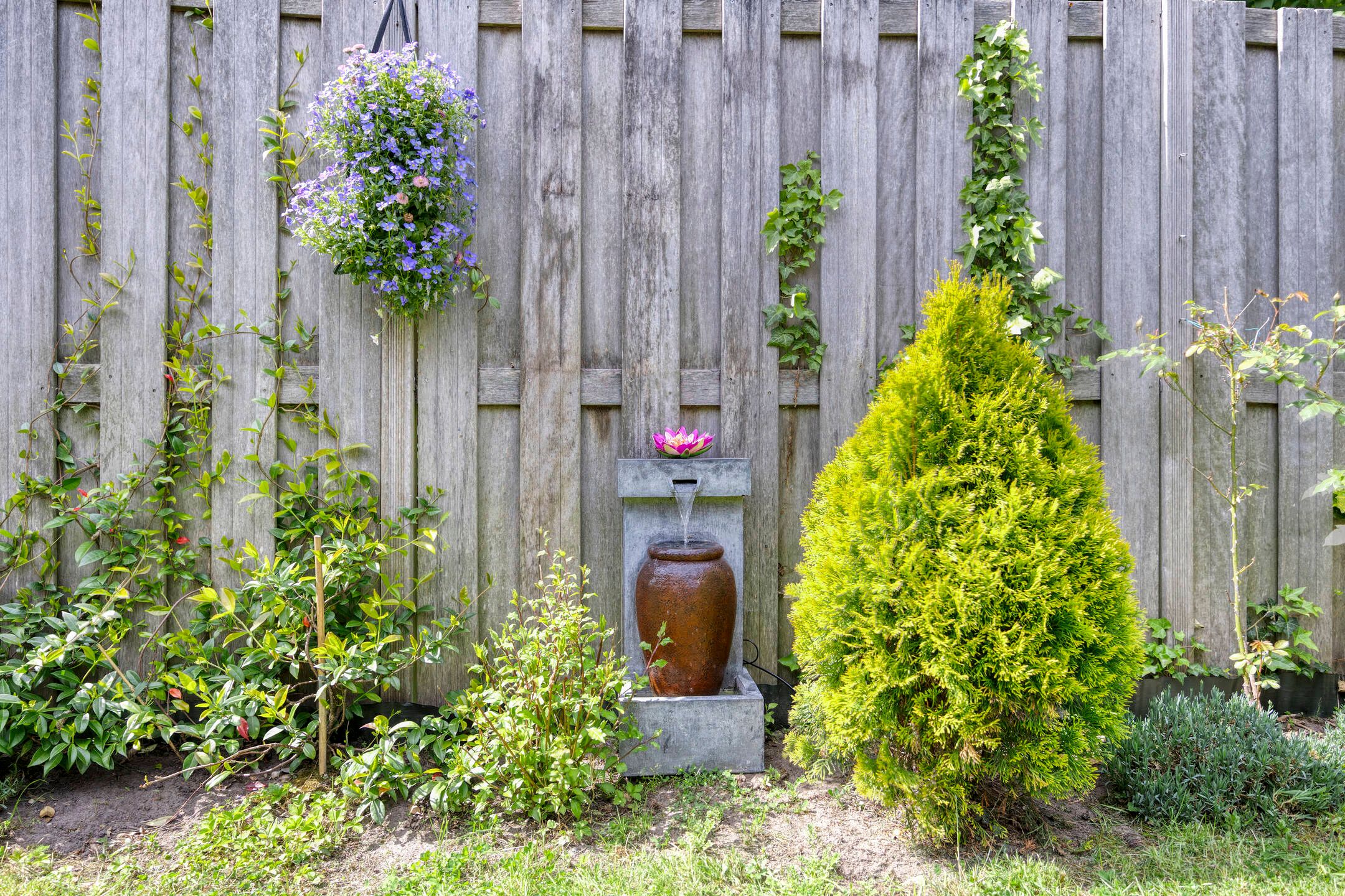 Photo 51 of Fortuna 83