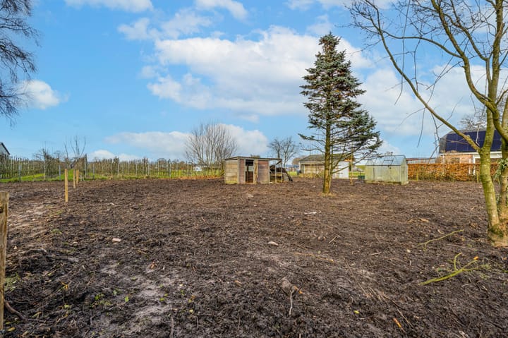 Photo 21 of Waalbandijk 61