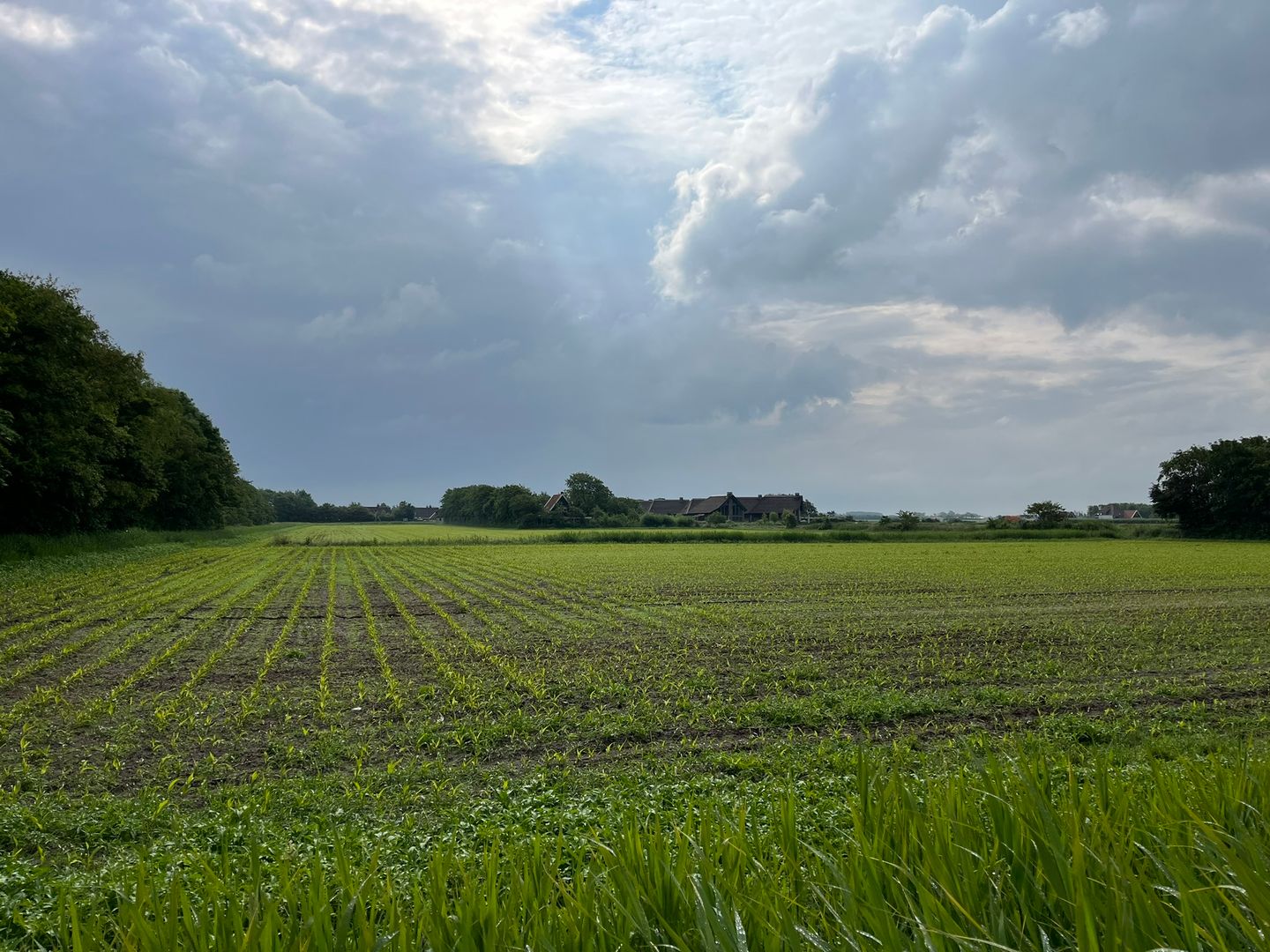 Bekijk foto 2 van Percelen bij Pontweg