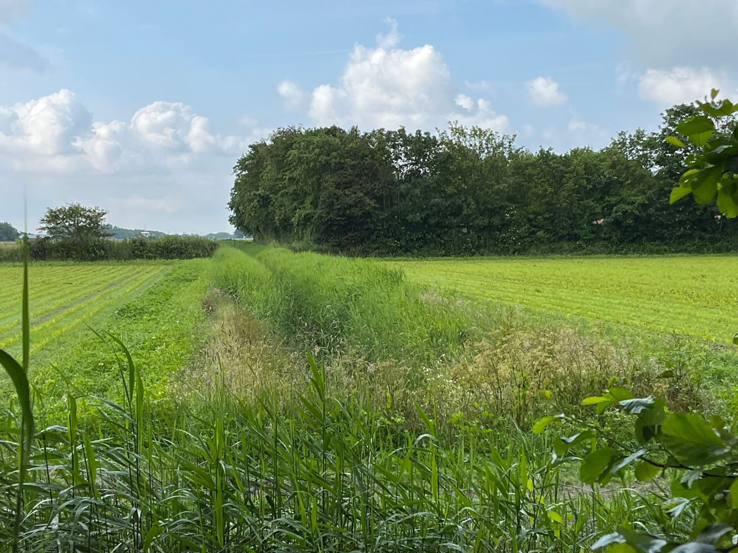 Bekijk foto 3 van Percelen bij Pontweg