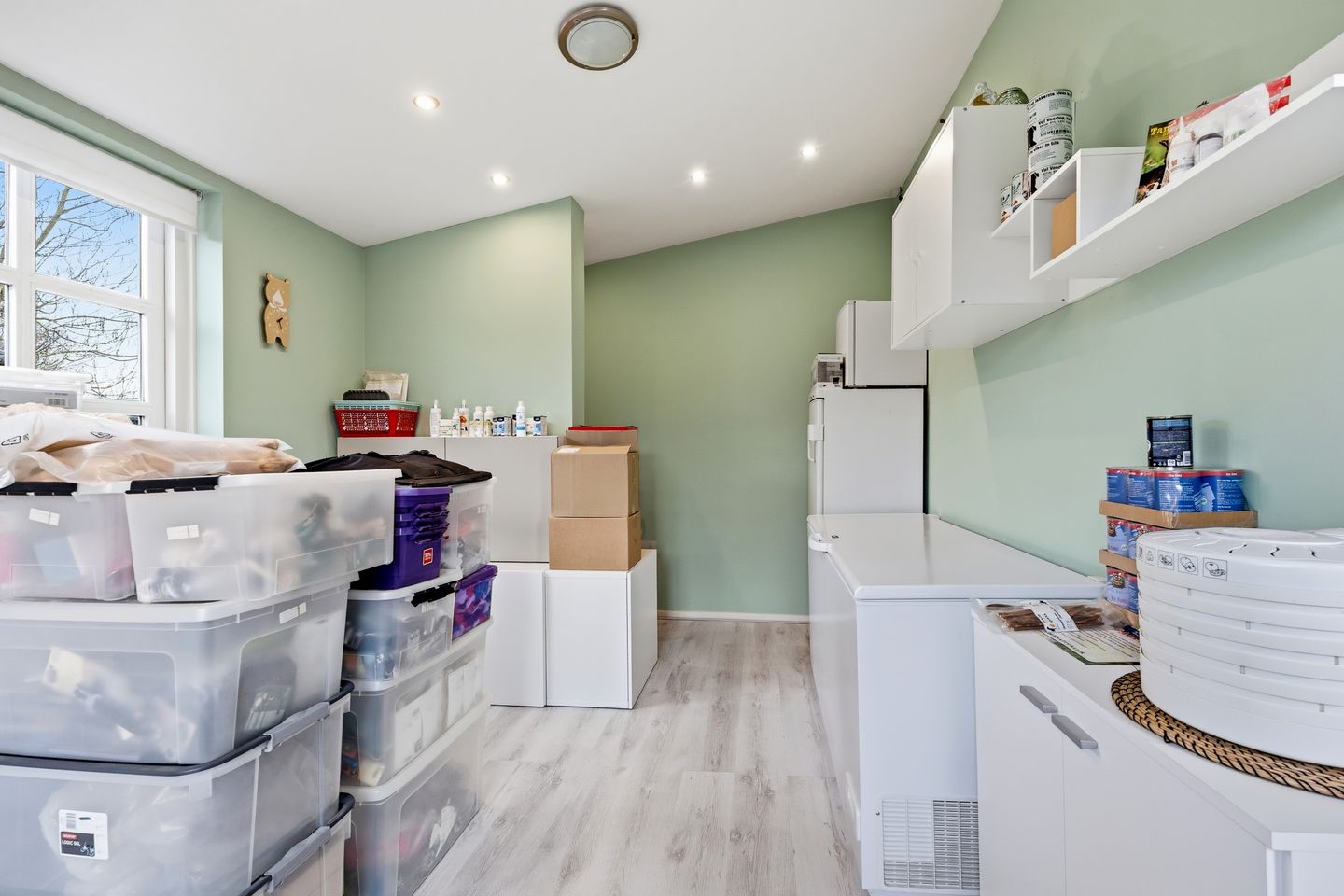 Photo 19 of Veluwe 3