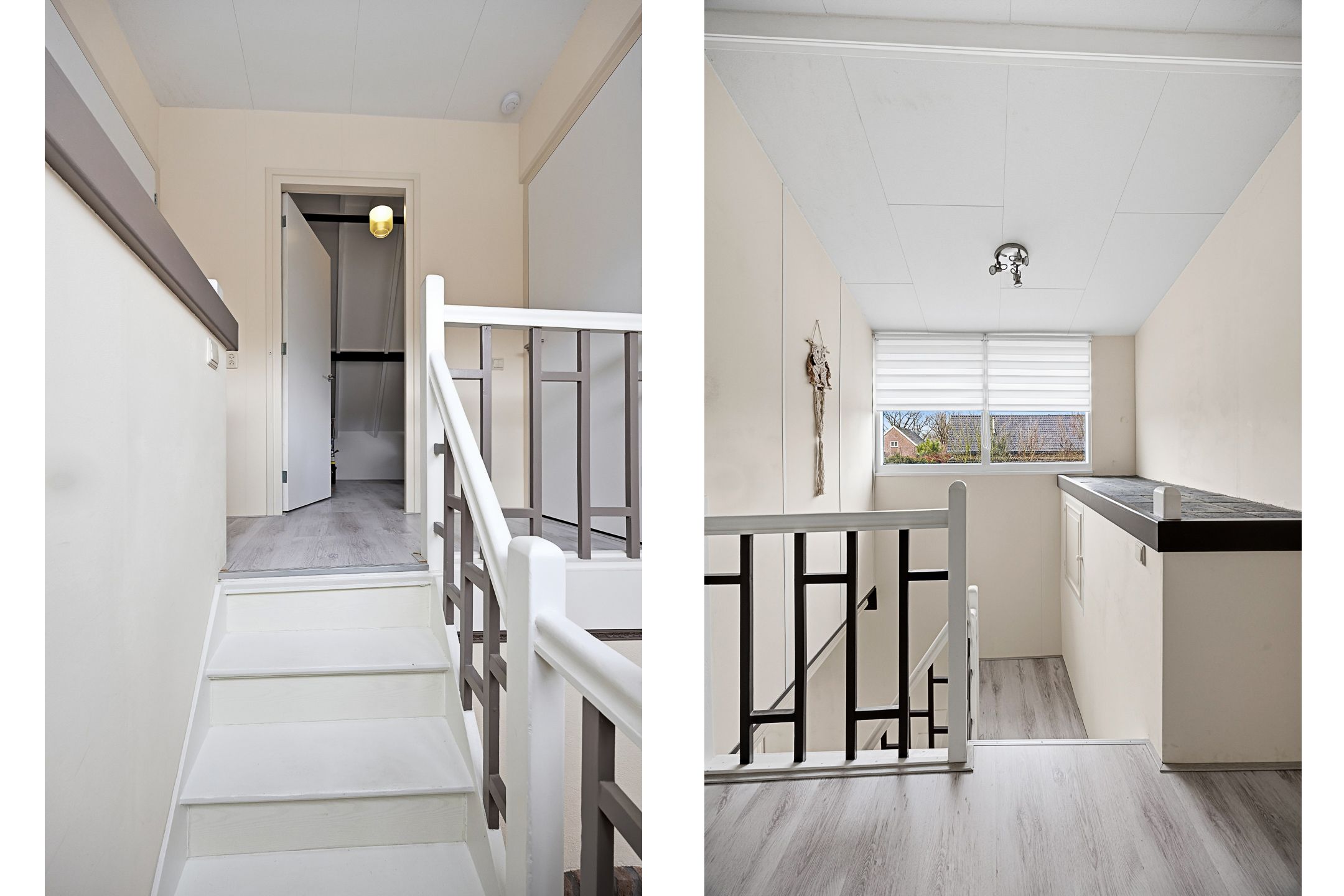 Photo 24 of Veluwe 3