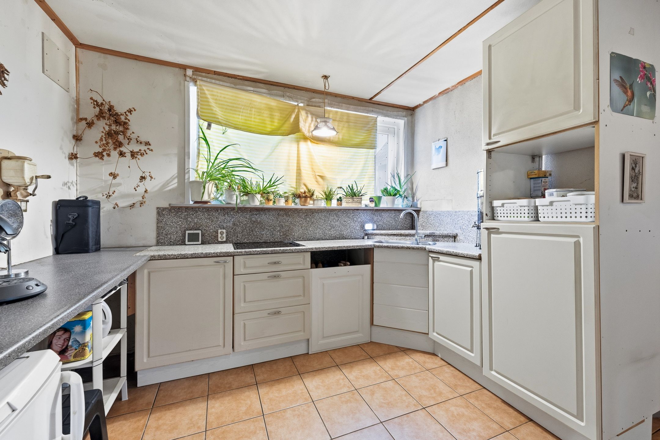 Photo 39 of Veluwe 3