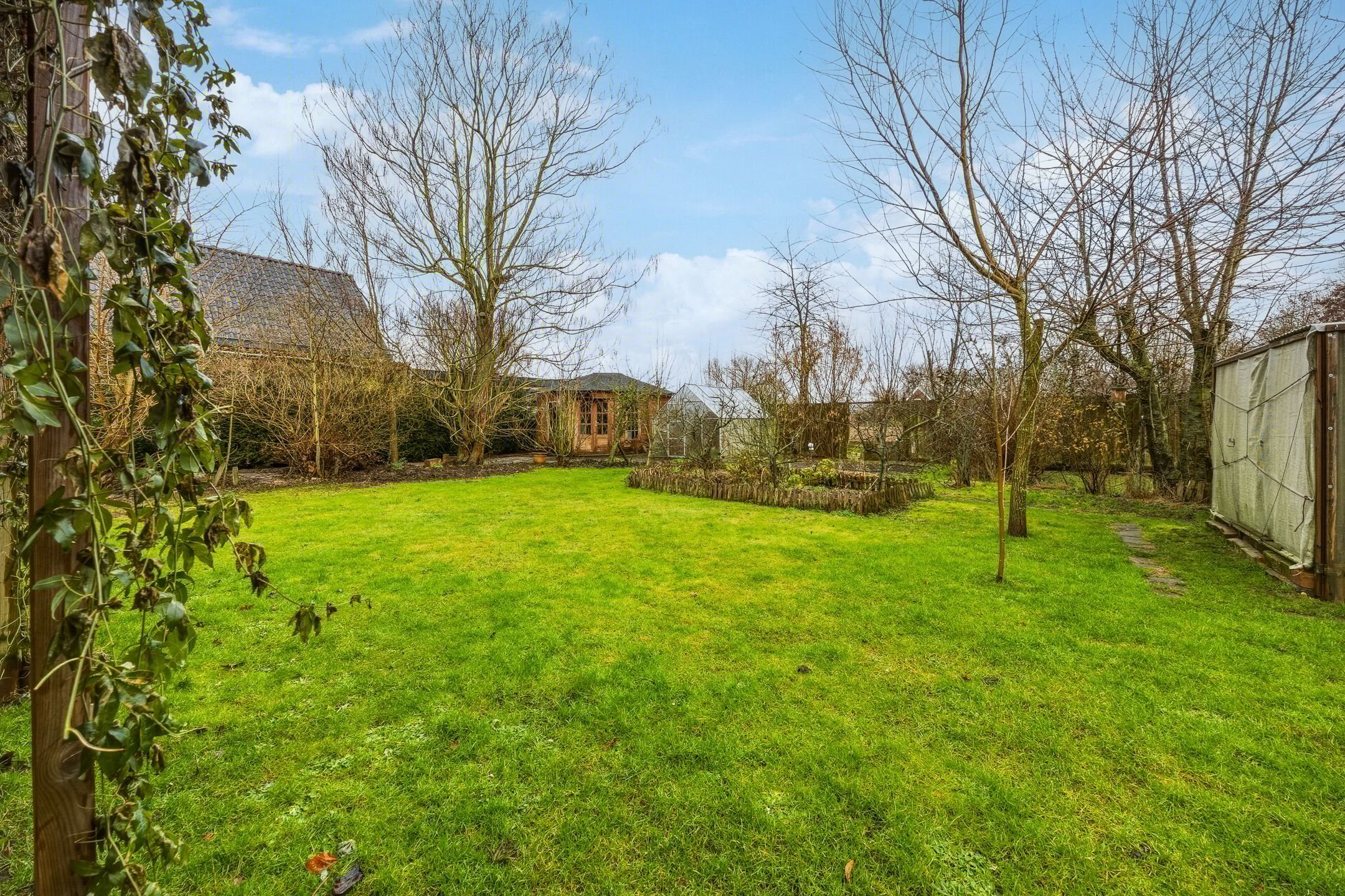 Photo 51 of Veluwe 3