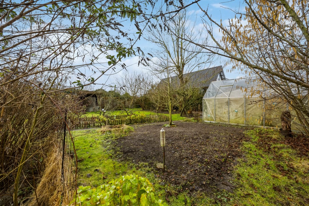 Photo 53 of Veluwe 3