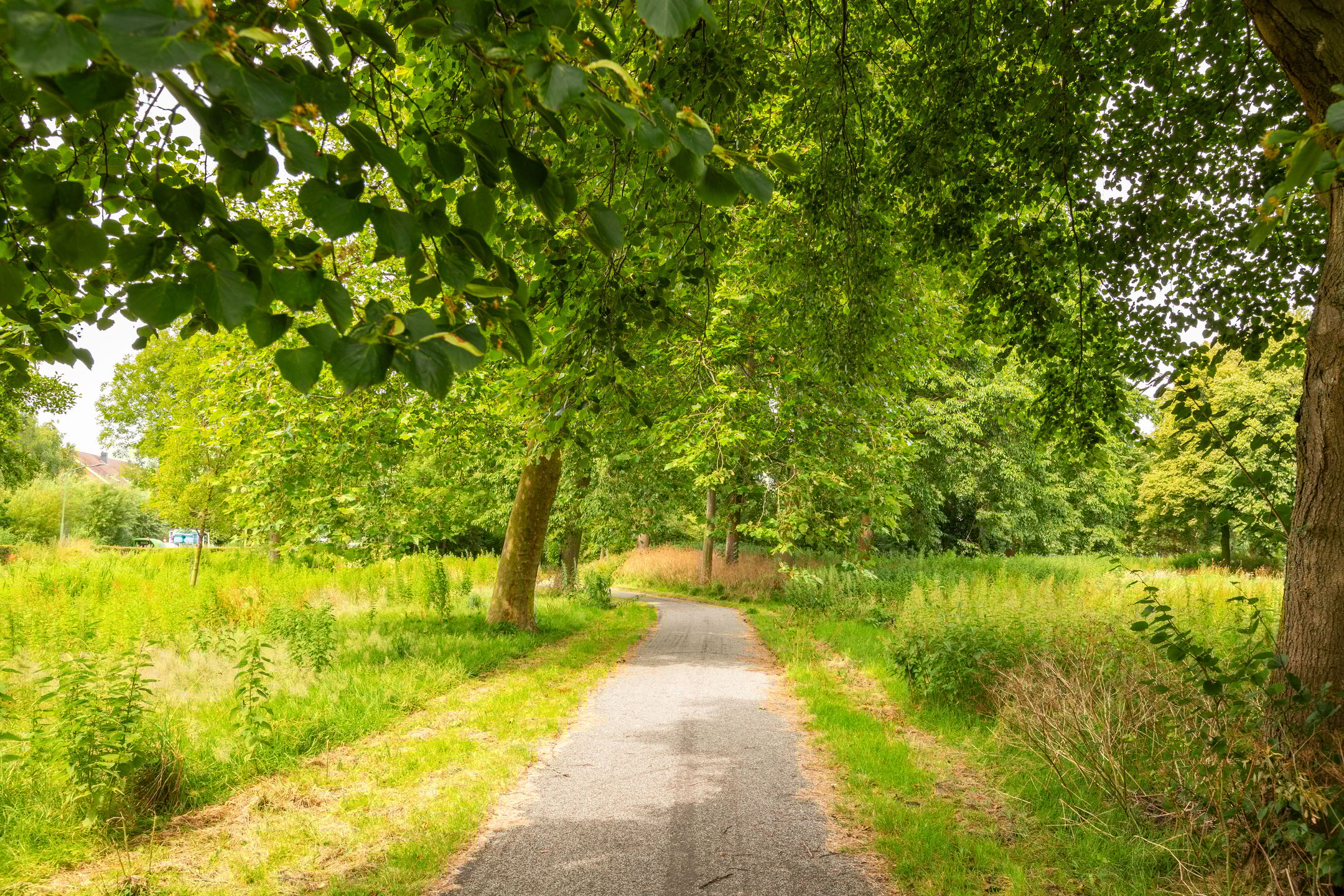 Foto 42 van Engelandlaan 268