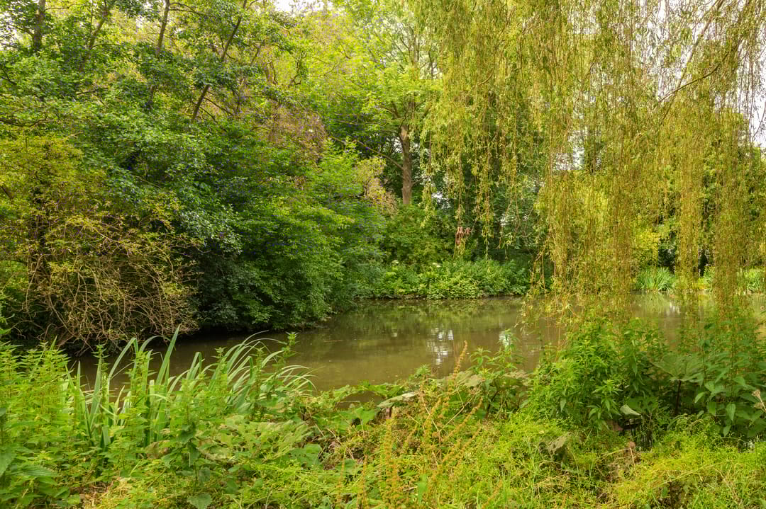 Foto 43 van Engelandlaan 268